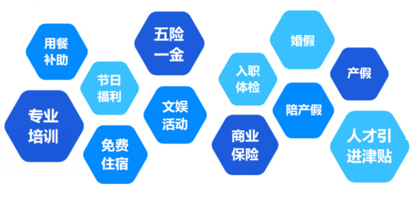 提供全面、系統(tǒng)、專業(yè)的培訓(xùn)和廣闊的<br>職業(yè)發(fā)展空間和提升機(jī)會(huì)